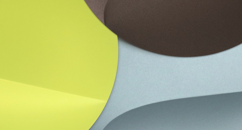Mankiewicz Selects Tree House, Ice Water, and Sour as 2026 Colors of the Year